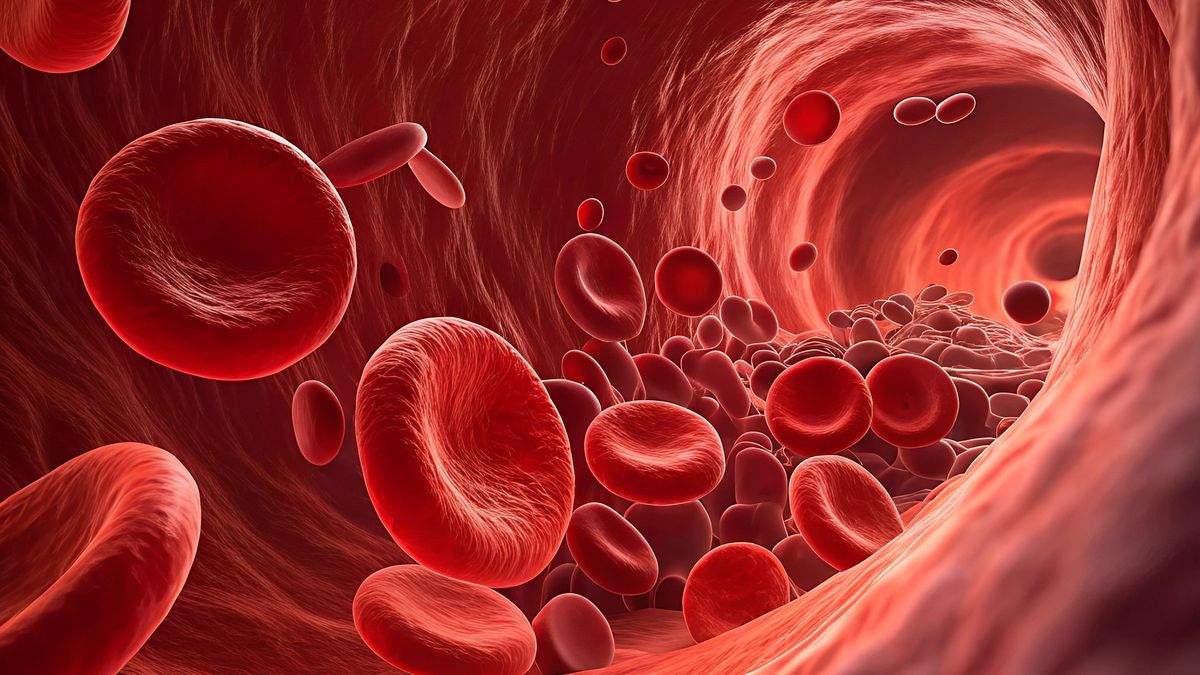 Vědci stále objevují nové krevní skupiny. Tu nejnovější má jediná žena